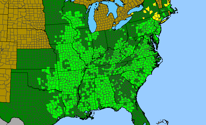 The range of Betula nigra